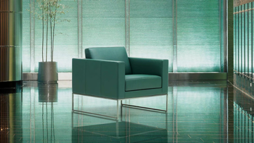 DS-160 - Sled base leather armchair with armrests by de Sede - view 3